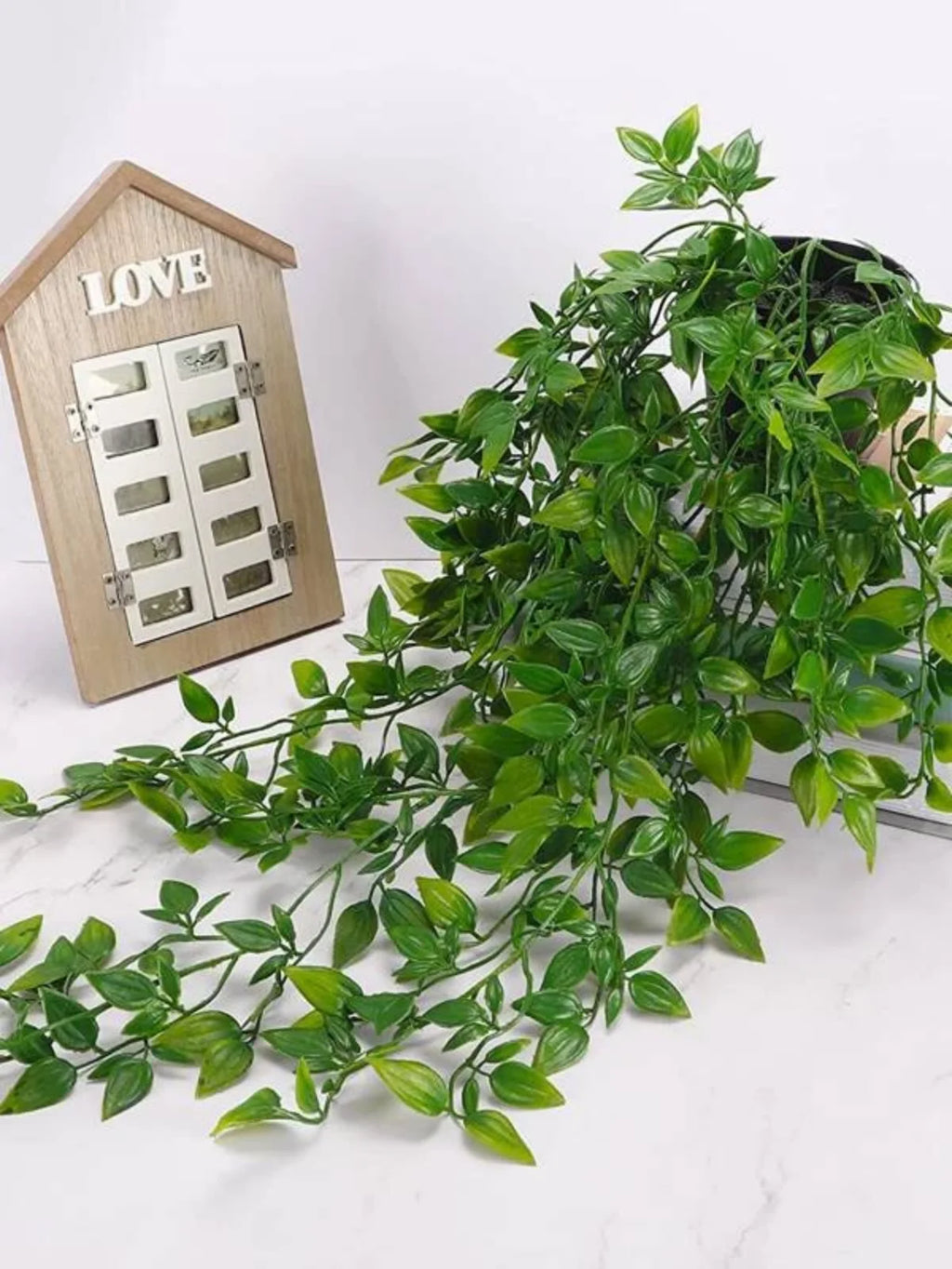 Trailing Ivy Vine Wall Décor